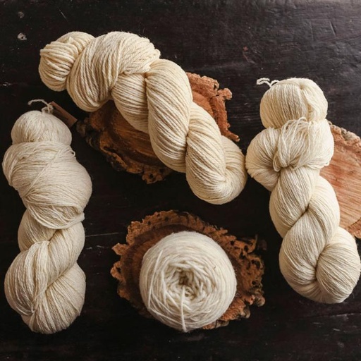 Una visita exprés a la fábrica de dLana